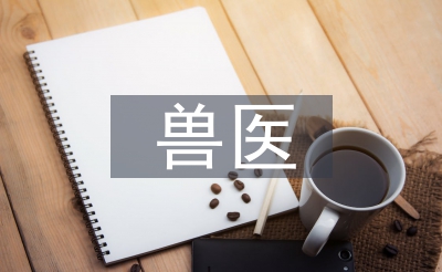 兽医手艺培训