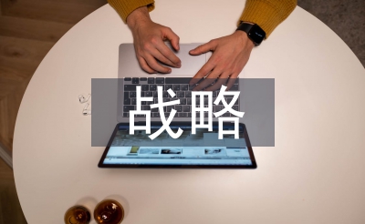 大众办理计谋